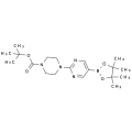 anti-HYAL1 antibody (Hyaluronidase-1) (N-Term)