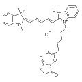 anti-HYAL1 antibody (Hyaluronidase-1) (N-Term)