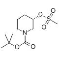 anti-HYAL1 antibody (Hyaluronidase-1) (N-Term)