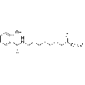 anti-HYAL1 antibody (Hyaluronidase-1) (N-Term)