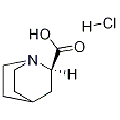 anti-HYAL1 antibody (Hyaluronidase-1) (N-Term)