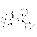 anti-HYAL1 antibody (Hyaluronidase-1) (N-Term)