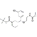 anti-HYAL1 antibody (Hyaluronidase-1) (N-Term)