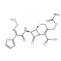 anti-HYAL1 antibody (Hyaluronidase-1) (N-Term)