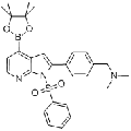 anti-HYAL1 antibody (Hyaluronidase-1) (N-Term)