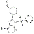 anti-HYAL1 antibody (Hyaluronidase-1) (N-Term)