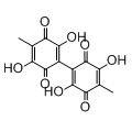 anti-HYAL1 antibody (Hyaluronidase-1) (N-Term)