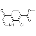 anti-HYAL1 antibody (Hyaluronidase-1) (N-Term)