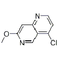 anti-HYAL1 antibody (Hyaluronidase-1) (N-Term)