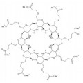anti-HYAL1 antibody (Hyaluronidase-1) (N-Term)