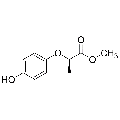 anti-HYAL1 antibody (Hyaluronidase-1) (N-Term)