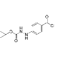 anti-HYAL1 antibody (Hyaluronidase-1) (N-Term)