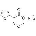 anti-HYAL1 antibody (Hyaluronidase-1) (N-Term)