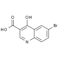 anti-HYAL1 antibody (Hyaluronidase-1) (N-Term)