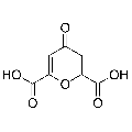 anti-HYAL1 antibody (Hyaluronidase-1) (N-Term)