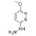 anti-HYAL1 antibody (Hyaluronidase-1) (N-Term)