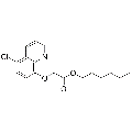 anti-HYAL1 antibody (Hyaluronidase-1) (N-Term)