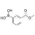 anti-HYAL1 antibody (Hyaluronidase-1) (N-Term)