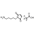 anti-HYAL1 antibody (Hyaluronidase-1) (N-Term)