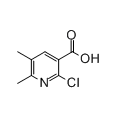anti-HYAL1 antibody (Hyaluronidase-1) (N-Term)