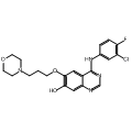 anti-HYAL1 antibody (Hyaluronidase-1) (N-Term)