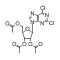 anti-HYAL1 antibody (Hyaluronidase-1) (N-Term)
