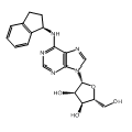 anti-HYAL1 antibody (Hyaluronidase-1) (N-Term)