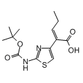 anti-HYAL1 antibody (Hyaluronidase-1) (N-Term)