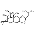 anti-HYAL1 antibody (Hyaluronidase-1) (N-Term)