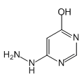 anti-HYAL1 antibody (Hyaluronidase-1) (N-Term)