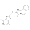 anti-HYAL1 antibody (Hyaluronidase-1) (N-Term)