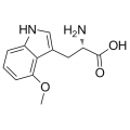 anti-HYAL1 antibody (Hyaluronidase-1) (N-Term)