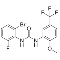 anti-HYAL1 antibody (Hyaluronidase-1) (N-Term)