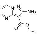 anti-HYAL1 antibody (Hyaluronidase-1) (N-Term)