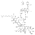 anti-HYAL1 antibody (Hyaluronidase-1) (N-Term)