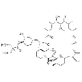 anti-HYAL1 antibody (Hyaluronidase-1) (N-Term)