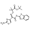 anti-HYAL1 antibody (Hyaluronidase-1) (N-Term)