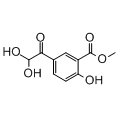 anti-HYAL1 antibody (Hyaluronidase-1) (N-Term)