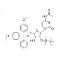 anti-HYAL1 antibody (Hyaluronidase-1) (N-Term)