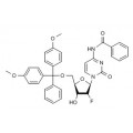 anti-HYAL1 antibody (Hyaluronidase-1) (N-Term)