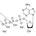 anti-HYAL1 antibody (Hyaluronidase-1) (N-Term)