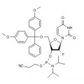anti-HYAL1 antibody (Hyaluronidase-1) (N-Term)