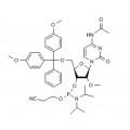 anti-HYAL1 antibody (Hyaluronidase-1) (N-Term)