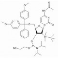 anti-HYAL1 antibody (Hyaluronidase-1) (N-Term)