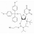 anti-HYAL1 antibody (Hyaluronidase-1) (N-Term)