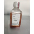 anti-HYAL1 antibody (Hyaluronidase-1) (N-Term)