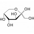 anti-HYAL1 antibody (Hyaluronidase-1) (N-Term)