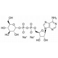 anti-HYAL1 antibody (Hyaluronidase-1) (N-Term)