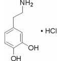 anti-HYAL1 antibody (Hyaluronidase-1) (N-Term)