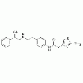 anti-HYAL1 antibody (Hyaluronidase-1) (N-Term)